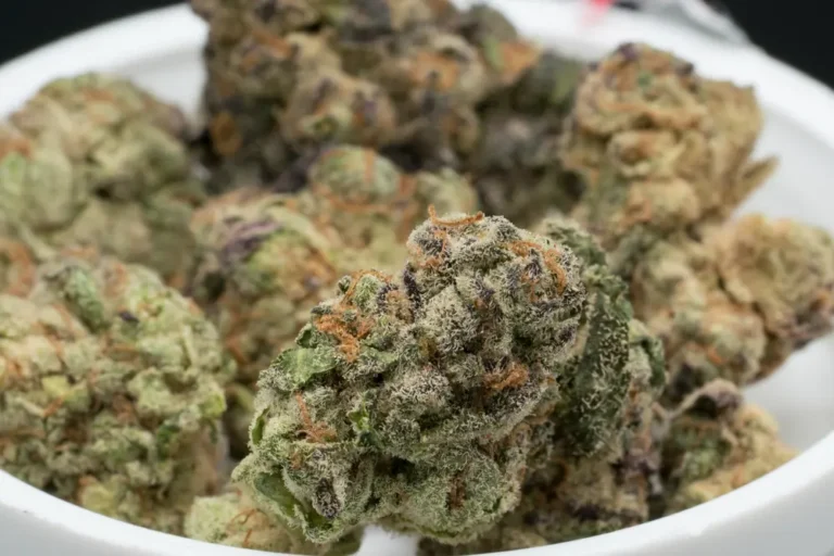 Apple Fritter Strain Review: The Multi-Award Winning Hybrid Complete Guide
