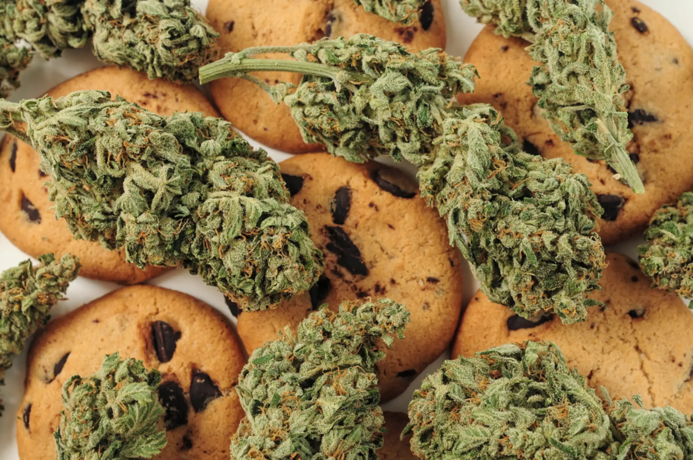 Biscotti: Dessert Cannabis at Its Finest