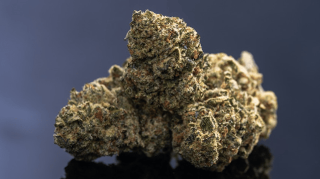 Jet Fuel Gelato: Potency Meets Flavor