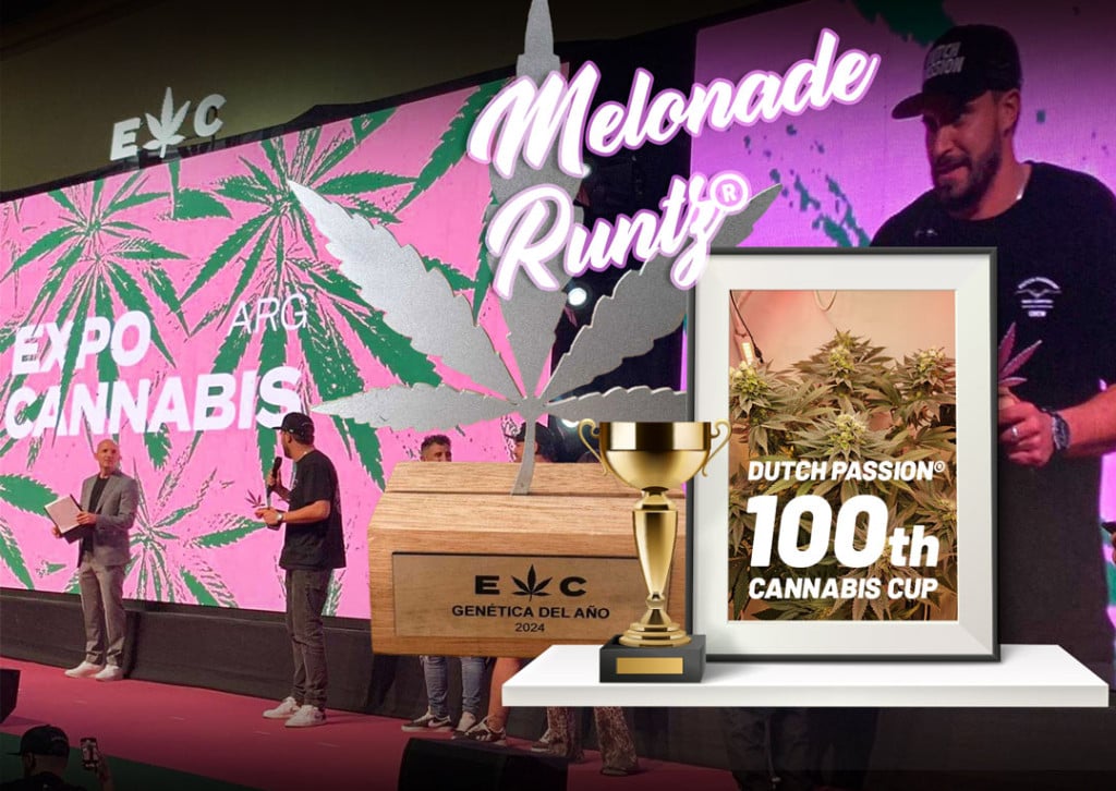 Melonade: Cannabis Cup Champion