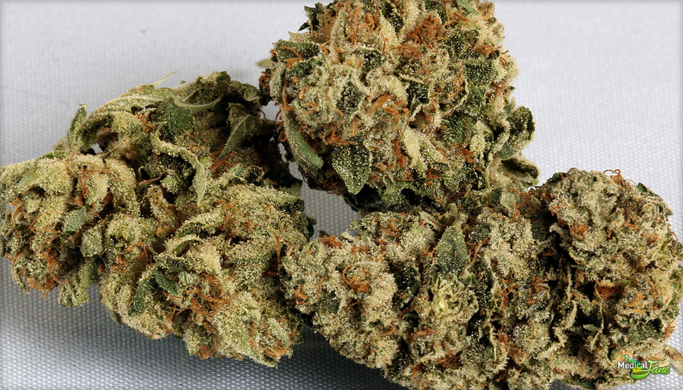 OG Kush: The Iconic Californian Hybrid