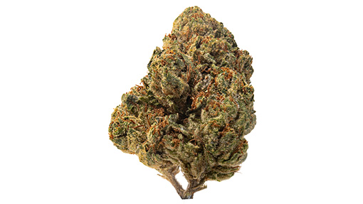 Original Glue (GG4): The Complete Guide to This Award-Winning Cannabis Strain