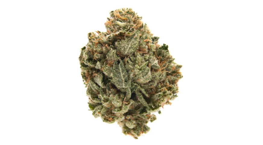Pink Kush Strain Review: The BC Beauty with OG Heritage
