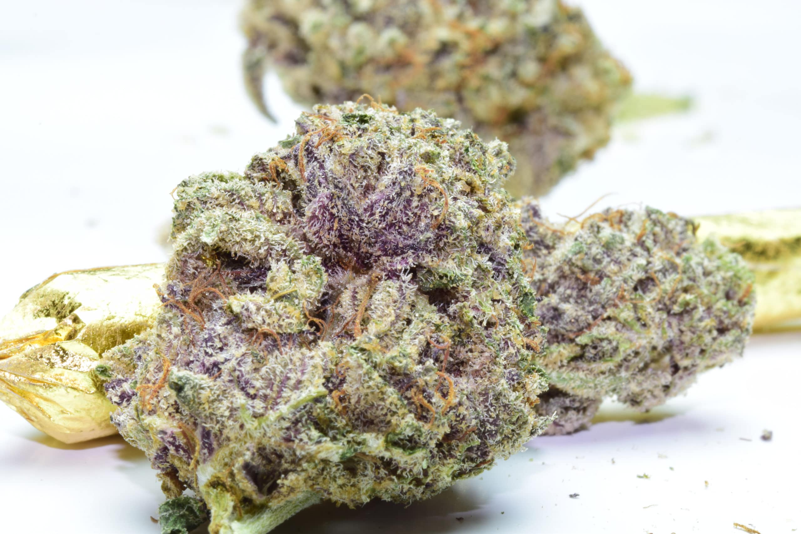 Purple Kush Strain Review: The Pure Indica Classic