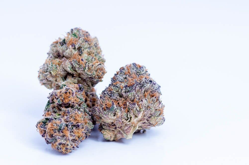 Slurricane Strain Review: The Do-Si-Dos x Purple Punch Powerhouse