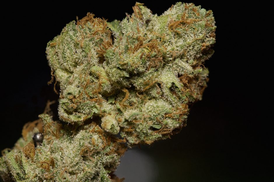 Tahoe OG: Legendary Kush Heritage